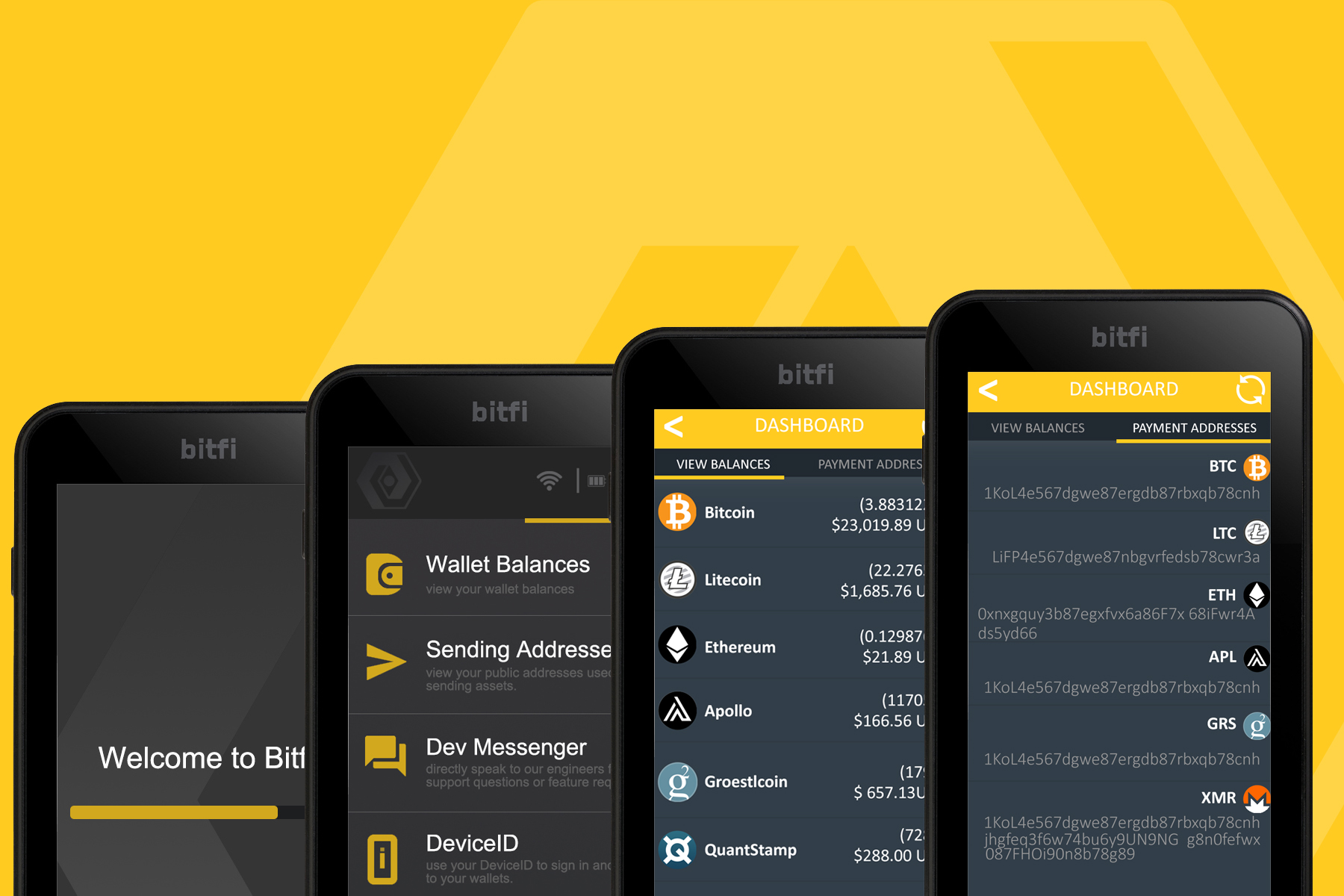 Bitfi Hardware Wallet Interfaces